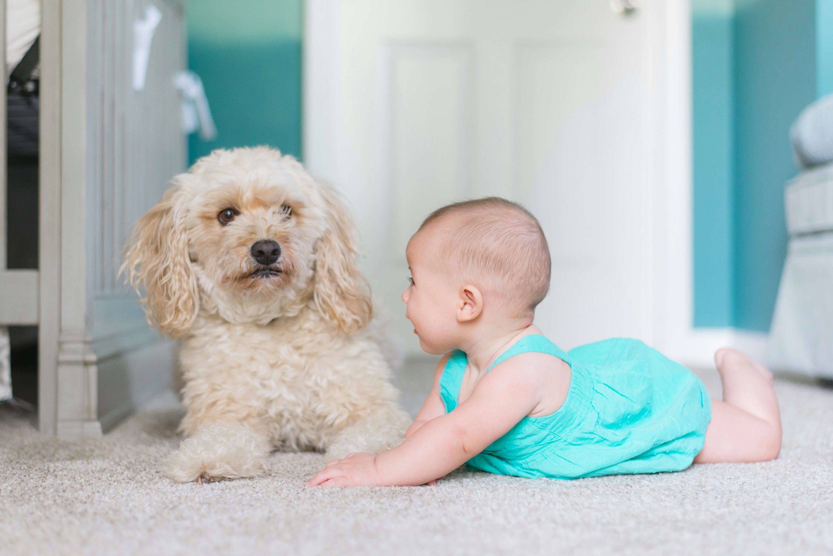 Baby-and-pet-dog-lying-on-clean-carpet