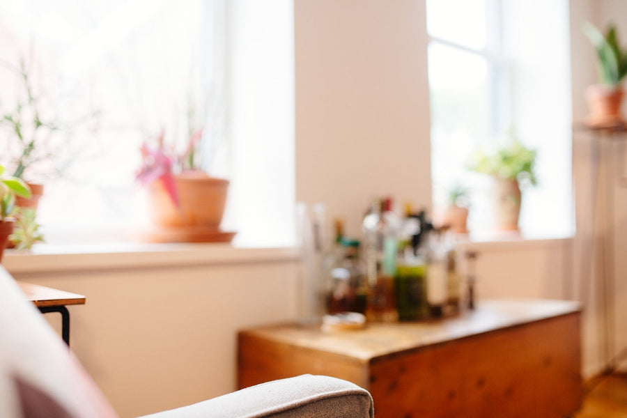 Bright home interior with plants and natural light, showing how a healthy home microbiome supports health and clean living.